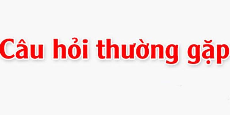Câu hỏi thường gặp